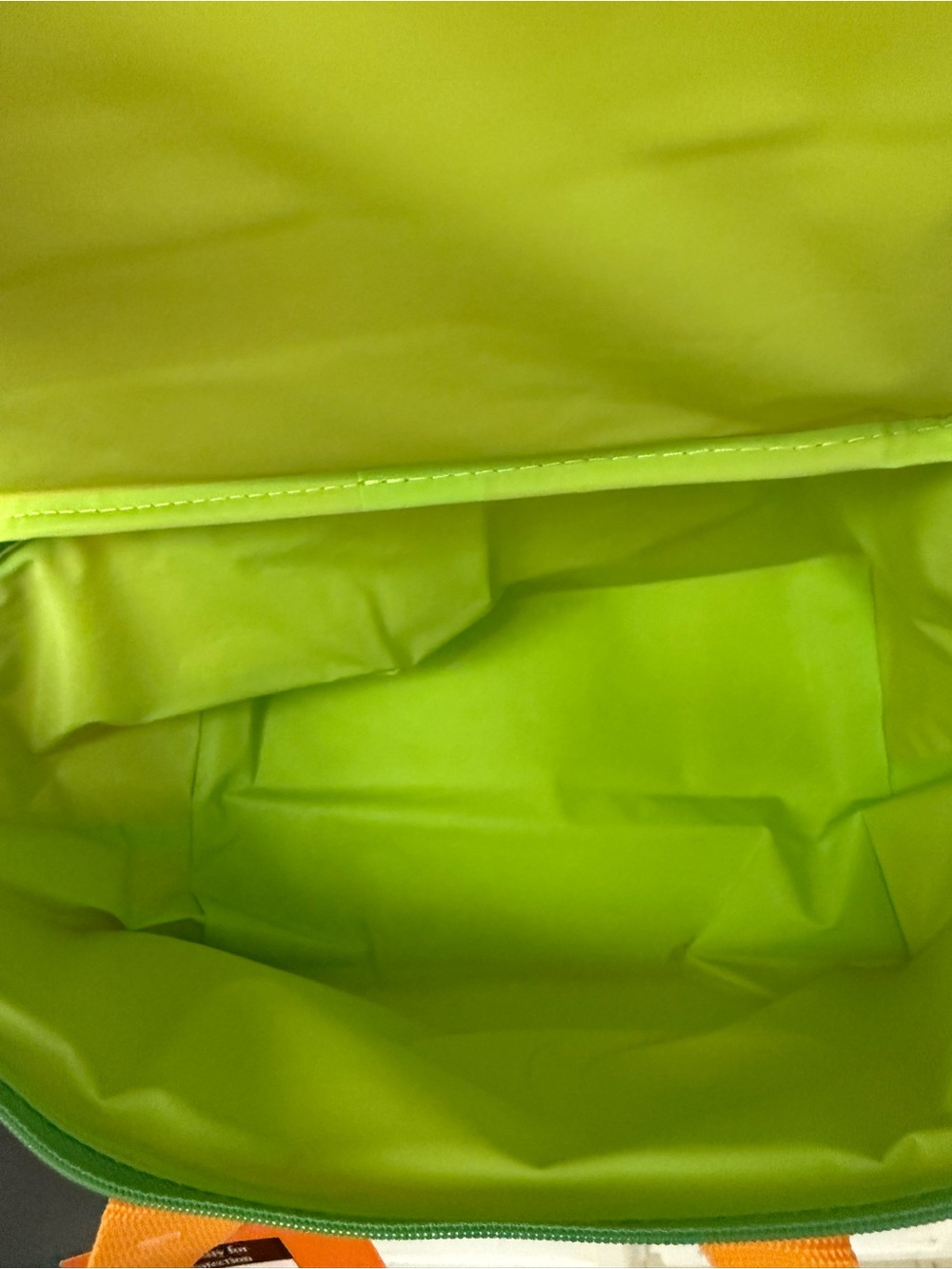 Trader Joe's Orange Insulated Lunch Tote with Green Trim - Picture 5 of 5